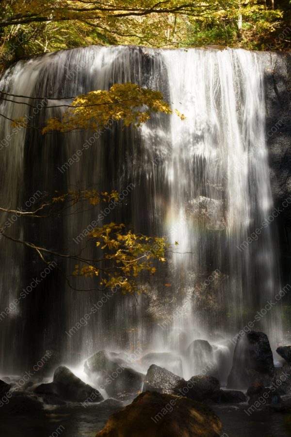 滝1